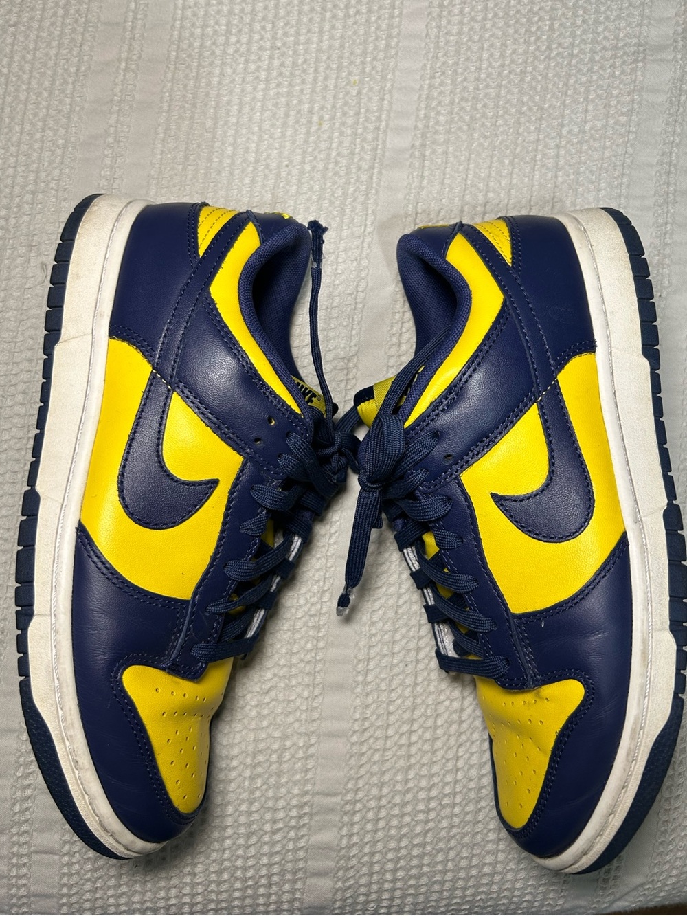Nike Dunk Low Michigan
